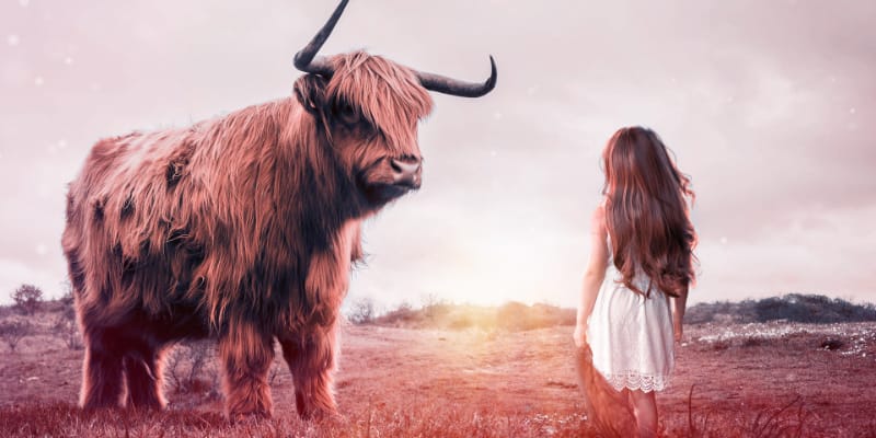 Bison and little girl courage is not the absence of fear