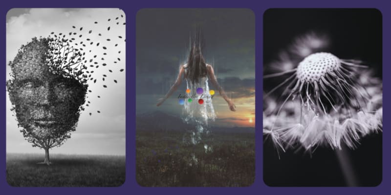 I am Enough Tryptic with face, woman, dandelion