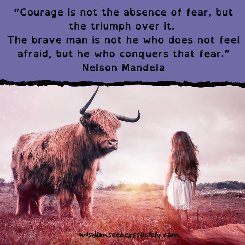 Courage is not the absence of fear quote