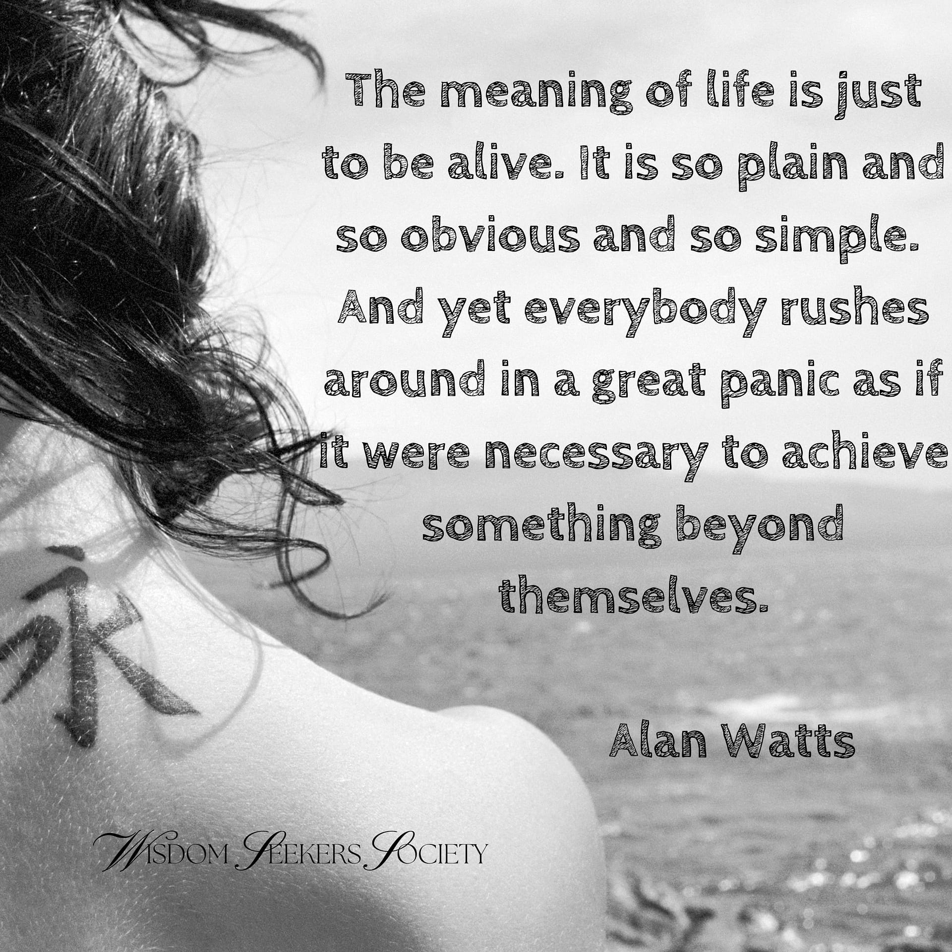 Alan Watts - meaning of life
